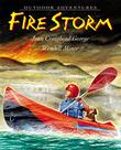 Cover art for FIRE STORM