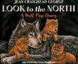 Cover art for LOOK TO THE NORTH