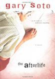 Cover art for THE AFTERLIFE
