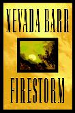 Cover art for FIRESTORM