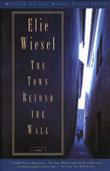 Cover art for THE TOWN BEYOND THE WALL