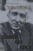 Cover art for HUGGING THE SHORE