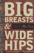 Cover art for BIG BREASTS AND WIDE HIPS