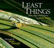 Cover art for LEAST THINGS