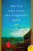 Cover art for THE BOY WHO STOLE THE LEOPARD'S SPOTS