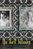 Cover art for THE DARK BETWEEN