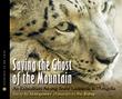 Cover art for SAVING THE GHOST OF THE MOUNTAIN