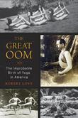 Cover art for THE GREAT OOM