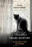 Cover art for ANOTHER INSANE DEVOTION