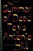 Cover art for THE SUMMER OF DEAD TOYS