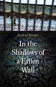 Cover art for IN THE SHADOWS OF A FALLEN WALL