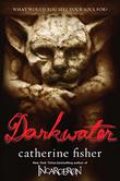 Cover art for DARKWATER