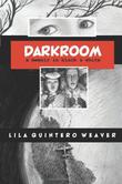 Cover art for DARKROOM