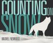 Cover art for COUNTING ON SNOW