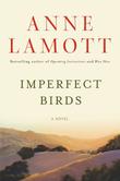Cover art for IMPERFECT BIRDS