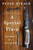 Cover art for A SPECIAL PLACE