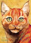 Cover art for I AM CAT