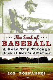 Cover art for THE SOUL OF BASEBALL