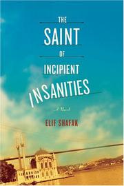 Cover art for THE SAINT OF INCIPIENT INSANITIES