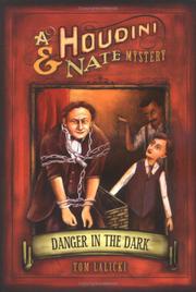 Cover art for DANGER IN THE DARK