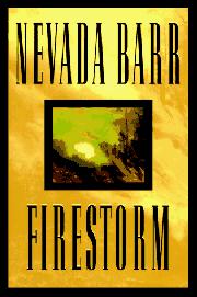 Book Cover for FIRESTORM