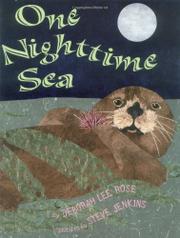 Book Cover for ONE NIGHTTIME SEA