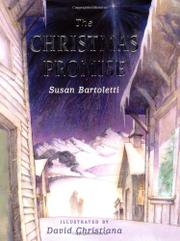 Book Cover for THE CHRISTMAS PROMISE