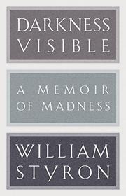 Cover art for DARKNESS VISIBLE