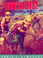 Cover art for HOTSHOTS!