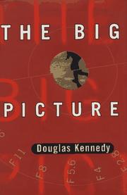 Book Cover for THE BIG PICTURE