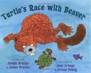 Book Cover for TURTLE’S RACE WITH BEAVER