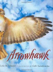 Cover art for ARROWHAWK