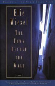 Book Cover for THE TOWN BEYOND THE WALL