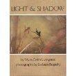 Cover art for LIGHT AND SHADOW