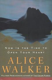 Book Cover for NOW IS THE TIME TO OPEN YOUR HEART