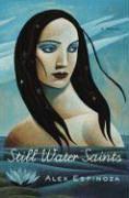 Book Cover for STILL WATER SAINTS