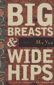 Cover art for BIG BREASTS AND WIDE HIPS