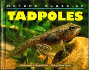 Book Cover for TADPOLES