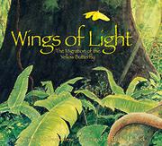 Book Cover for WINGS OF LIGHT