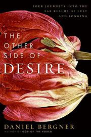 Cover art for THE OTHER SIDE OF DESIRE