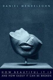 Book Cover for HOW BEAUTIFUL IT IS AND HOW EASILY IT CAN BE BROKEN