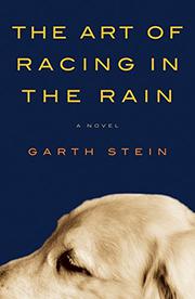 Cover art for THE ART OF RACING IN THE RAIN