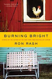 Book Cover for BURNING BRIGHT