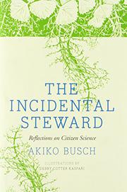 Book Cover for THE INCIDENTAL STEWARD