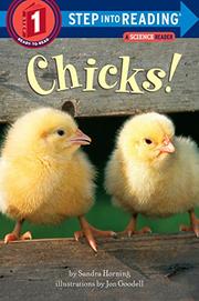Cover art for CHICKS!