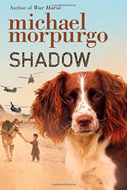 Cover art for SHADOW