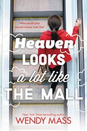 Cover art for HEAVEN LOOKS A LOT LIKE THE MALL