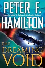 Cover art for THE DREAMING VOID