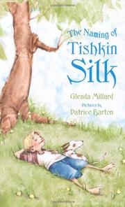 Book Cover for THE NAMING OF TISHKIN SILK