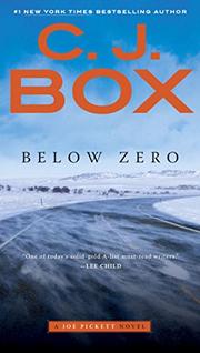 Book Cover for BELOW ZERO